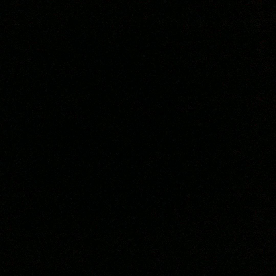 冬日奶泡泡🕊️
