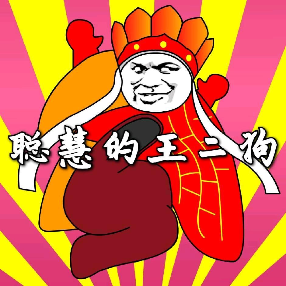 聪慧的王二狗