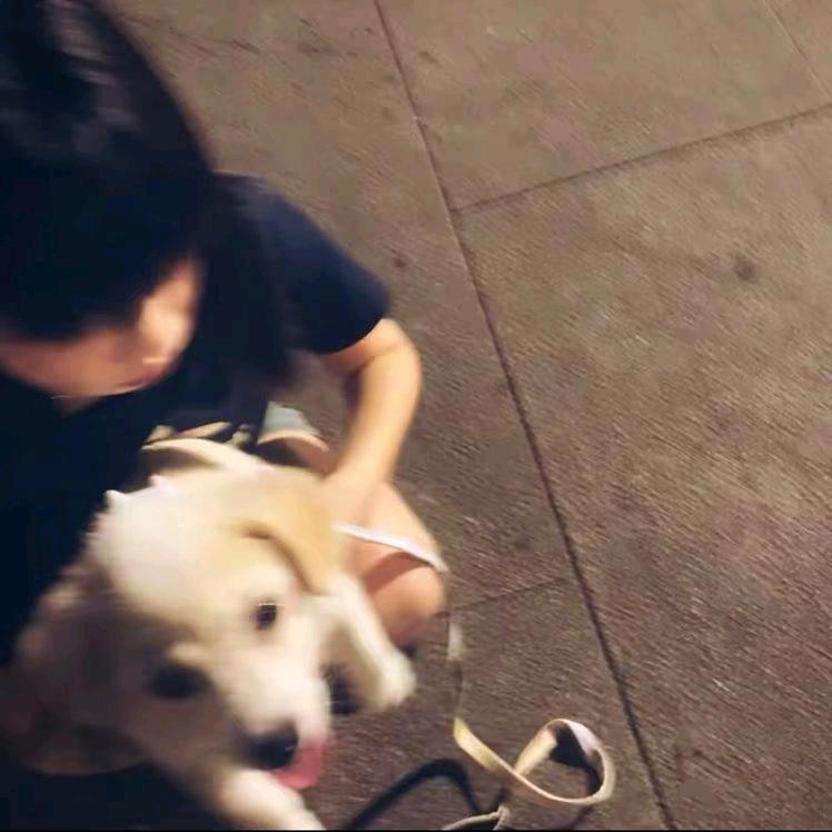 李子维