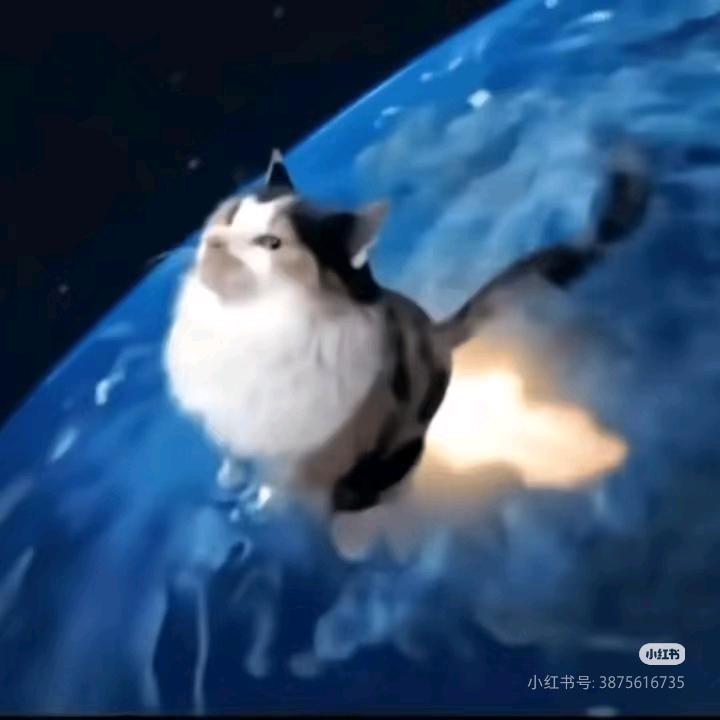 😸