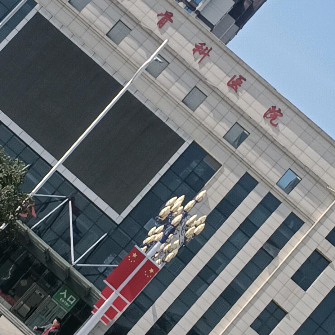河南郑州哥