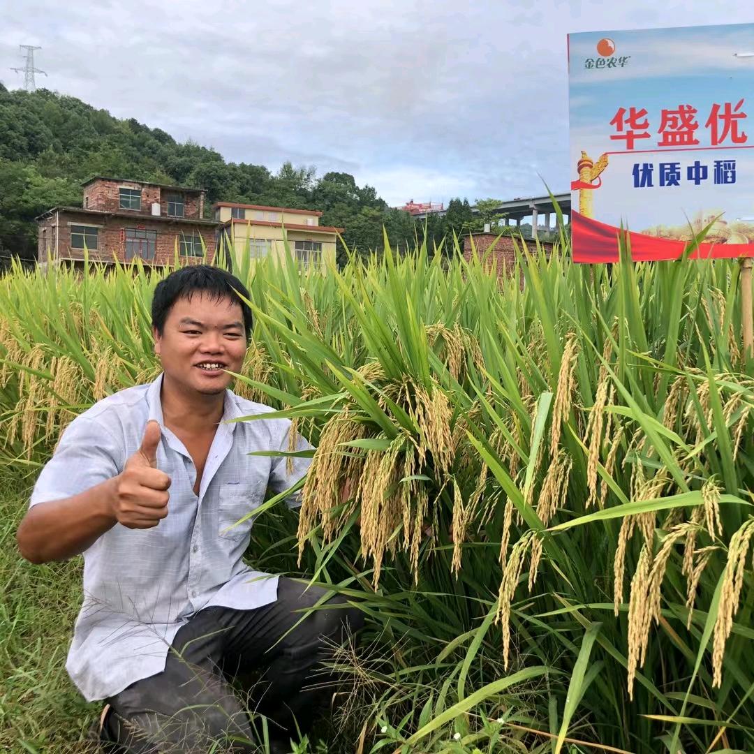 粮食搬运工