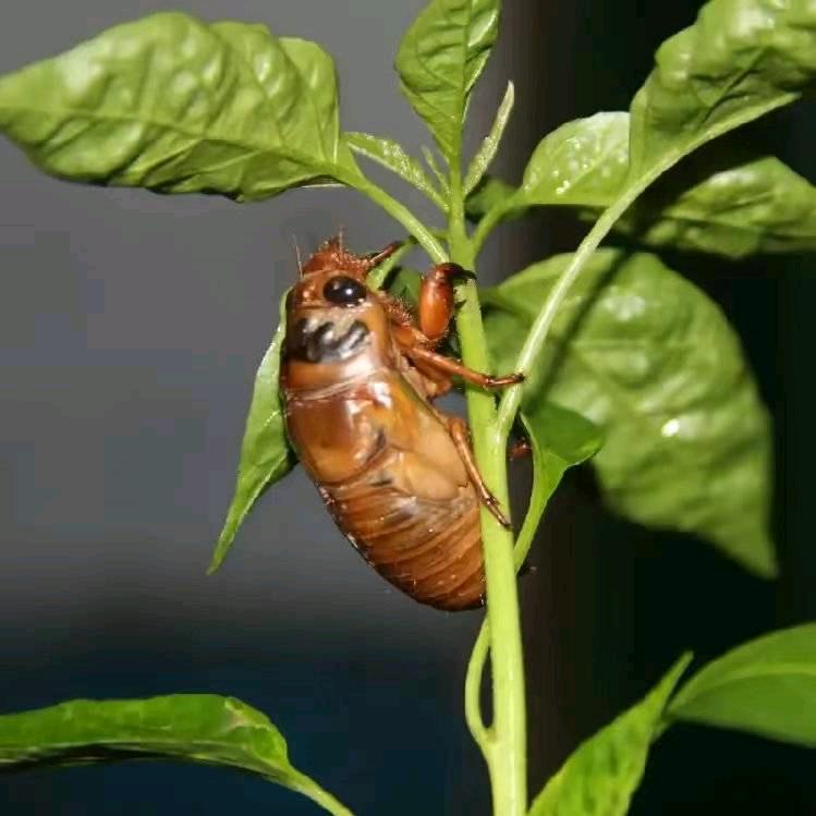 热爱生活