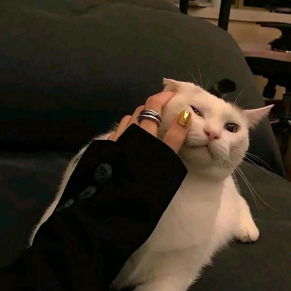 向僵尸开炮-六千（被噢啊）