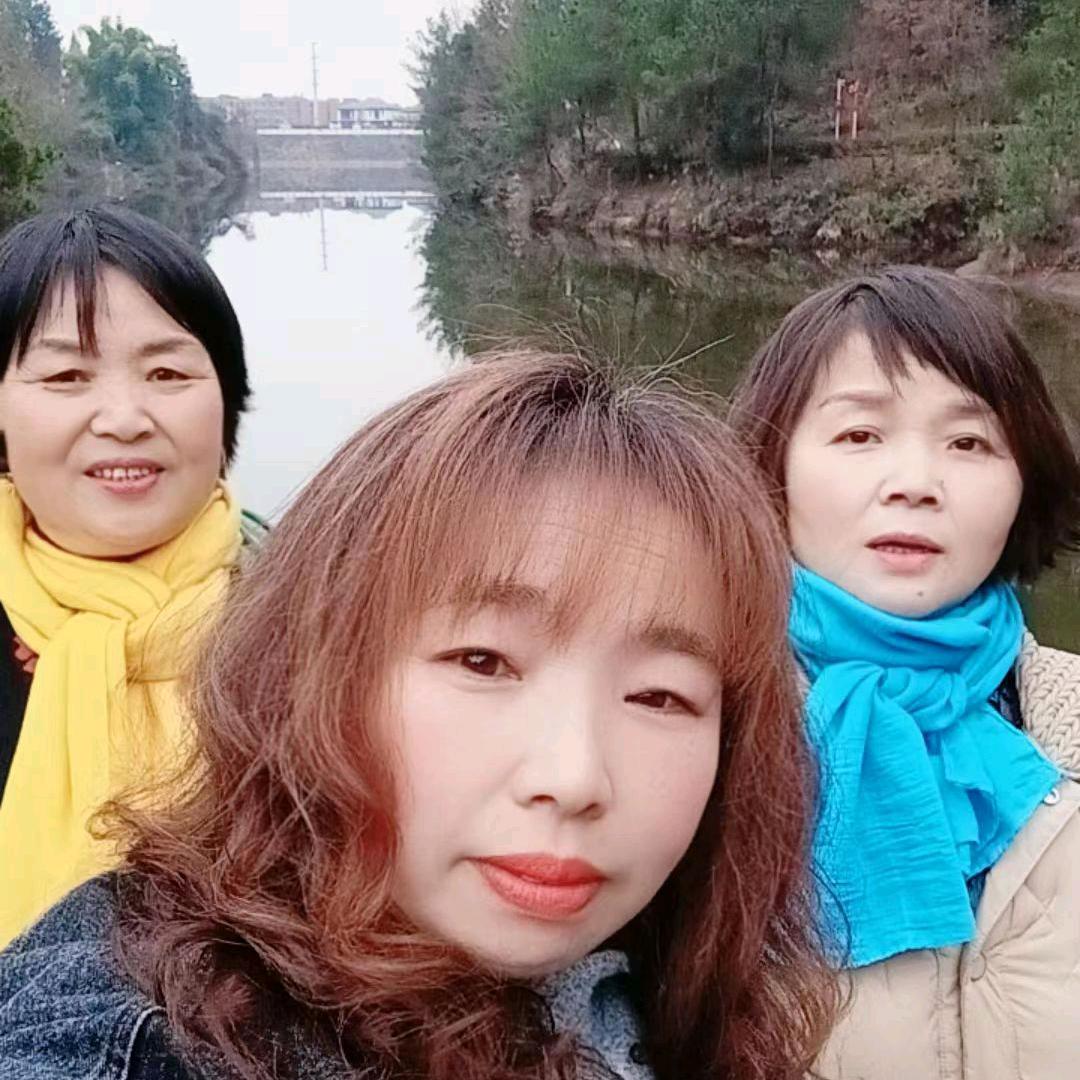 太阳花🌞