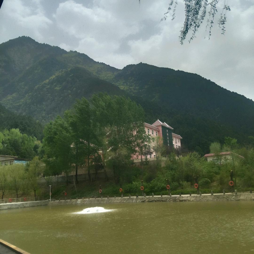 🌹自由飞翔，看破了红尘🌹