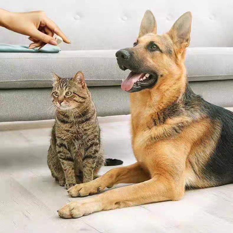 巢猫味宠物食品