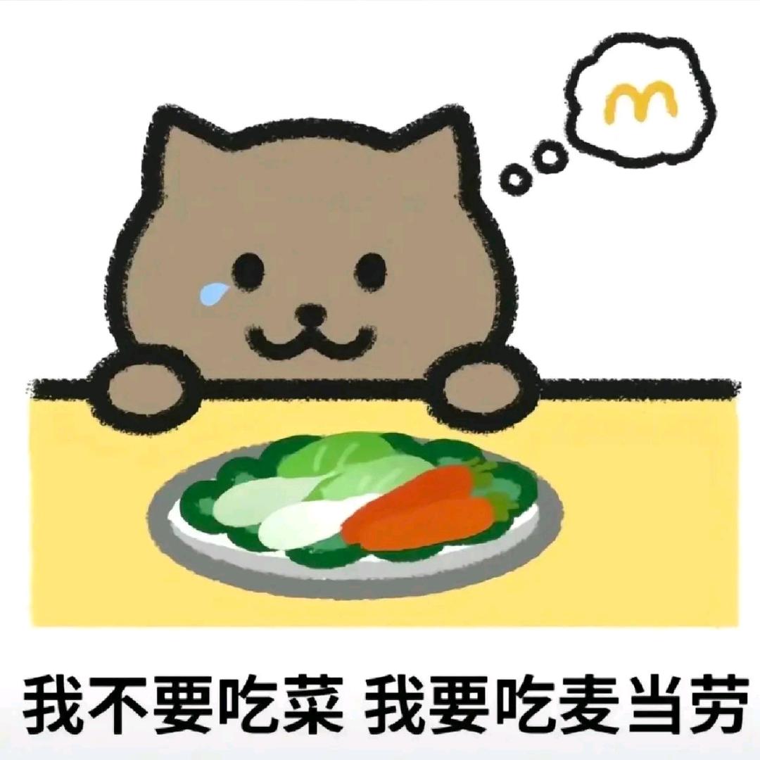 球球🐰