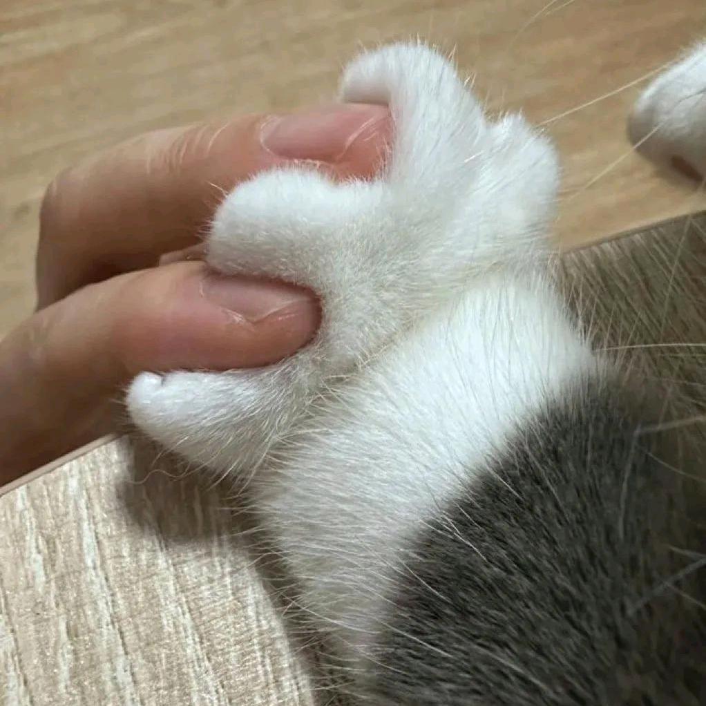 宝宝&