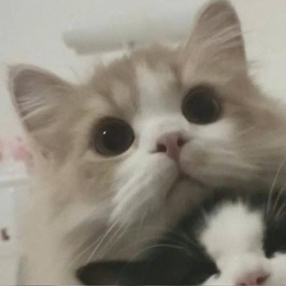 天下