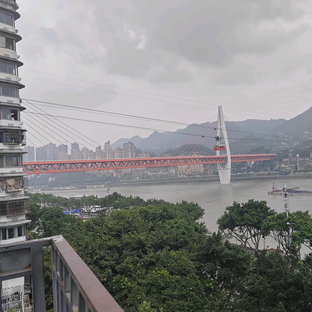 可乐宝贝