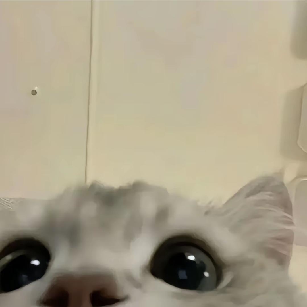 yyyy_
