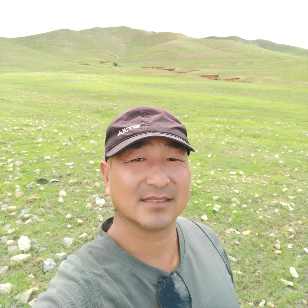 五哥兀良哈《黄牛改良员》