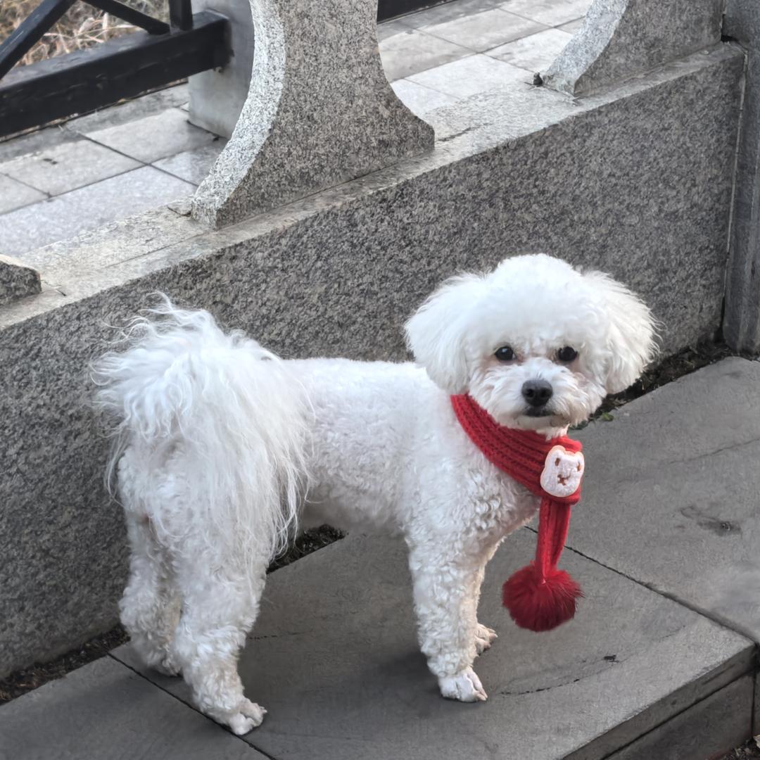 我来人间是凑数的