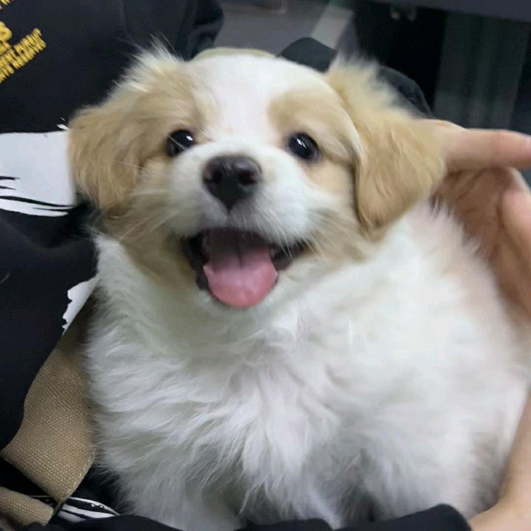 祈余安
