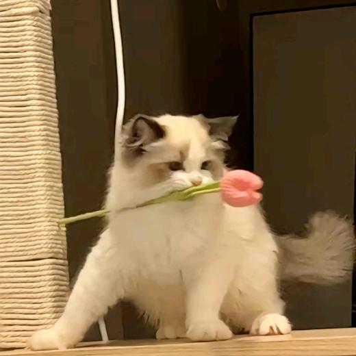 汐    .