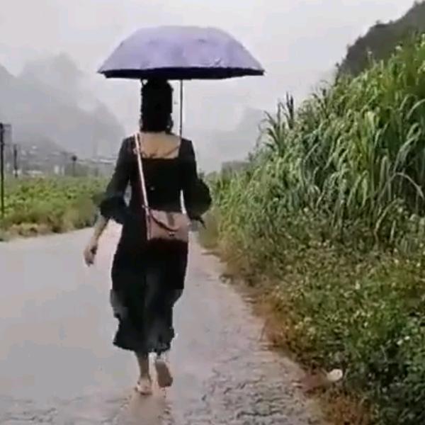~莫莫~