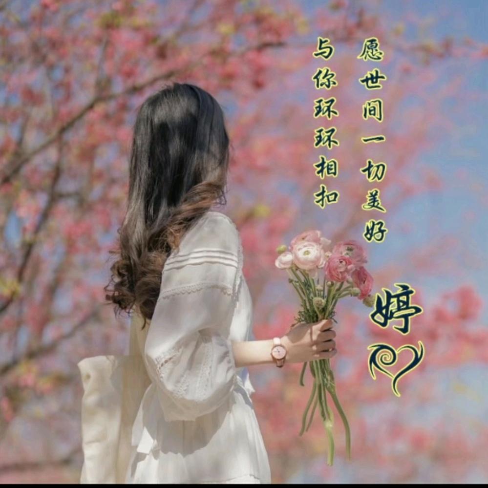 @赵家姑娘