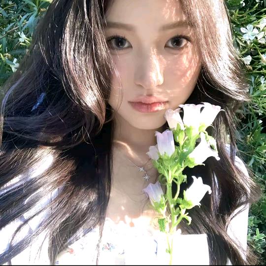 芒果爆爆