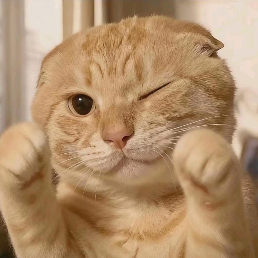 养一只美狗(踢馆西史辩伪)