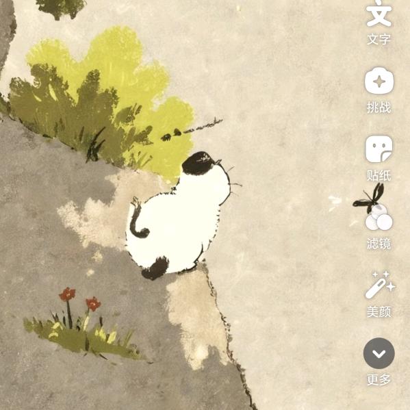 金桔
