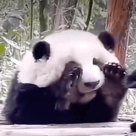 („ಡωಡ„)栓Q