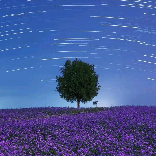 ￴￴￴￴ꩵྫྷོ今生ིི༒🦋醉梦ིི🌈