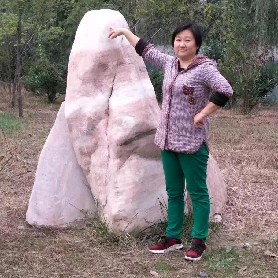 菊红