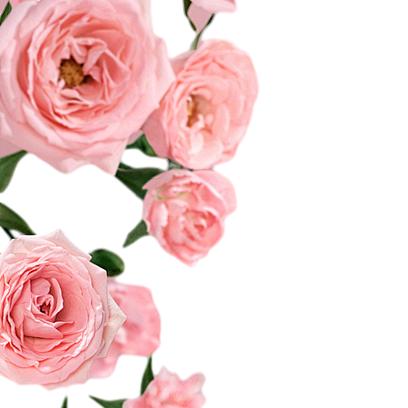 谷月圆婚姻管理