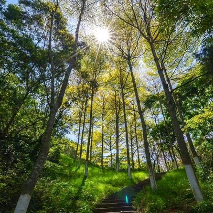 淡看沧桑，笑语流年