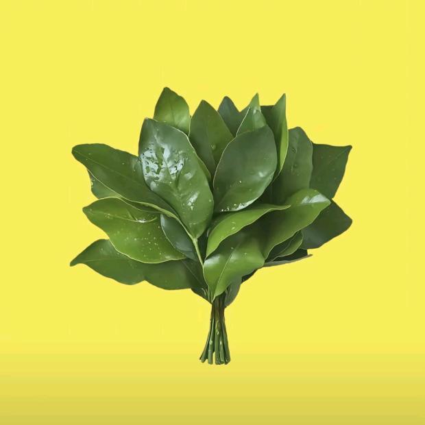 升学指导规划吴老师