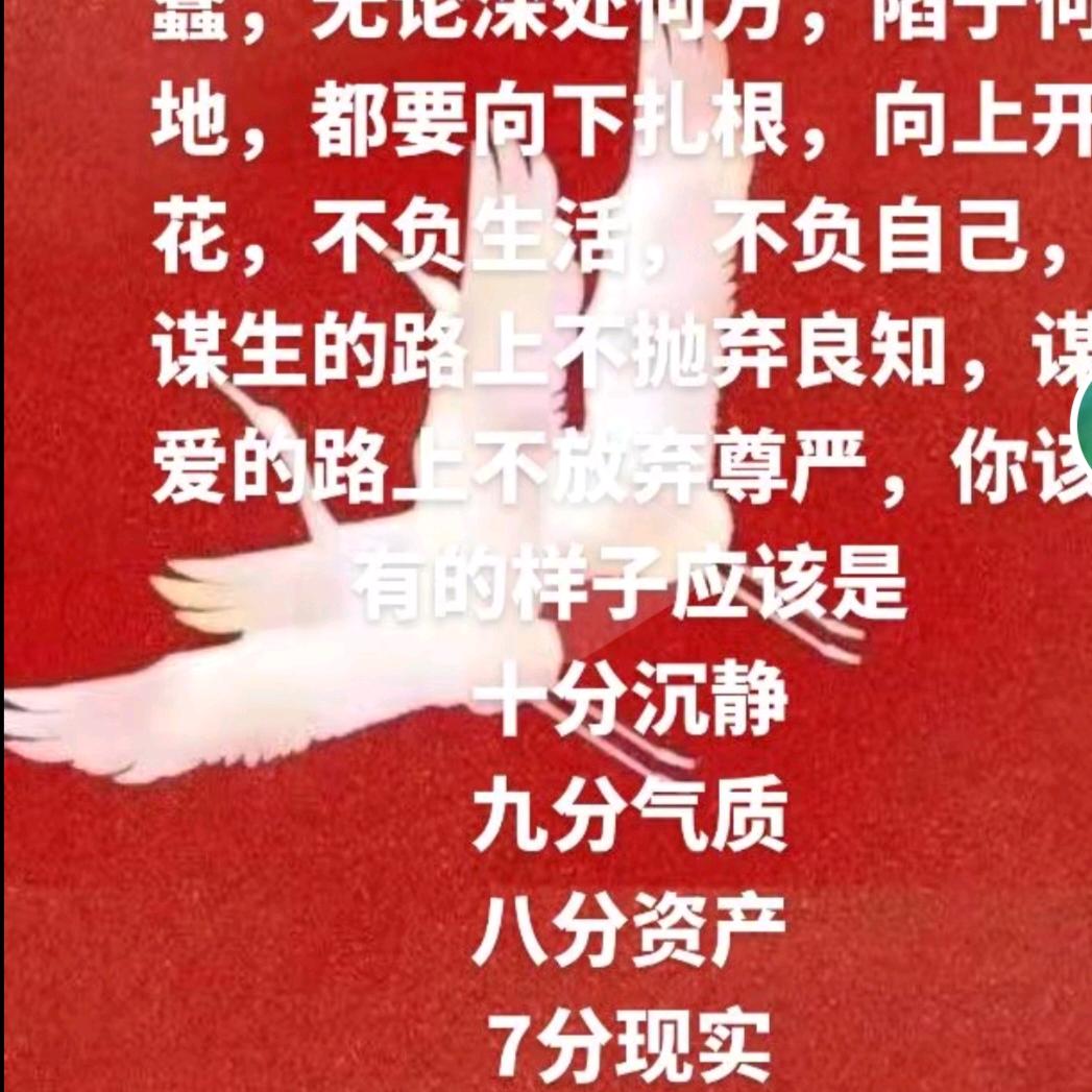 无名6688