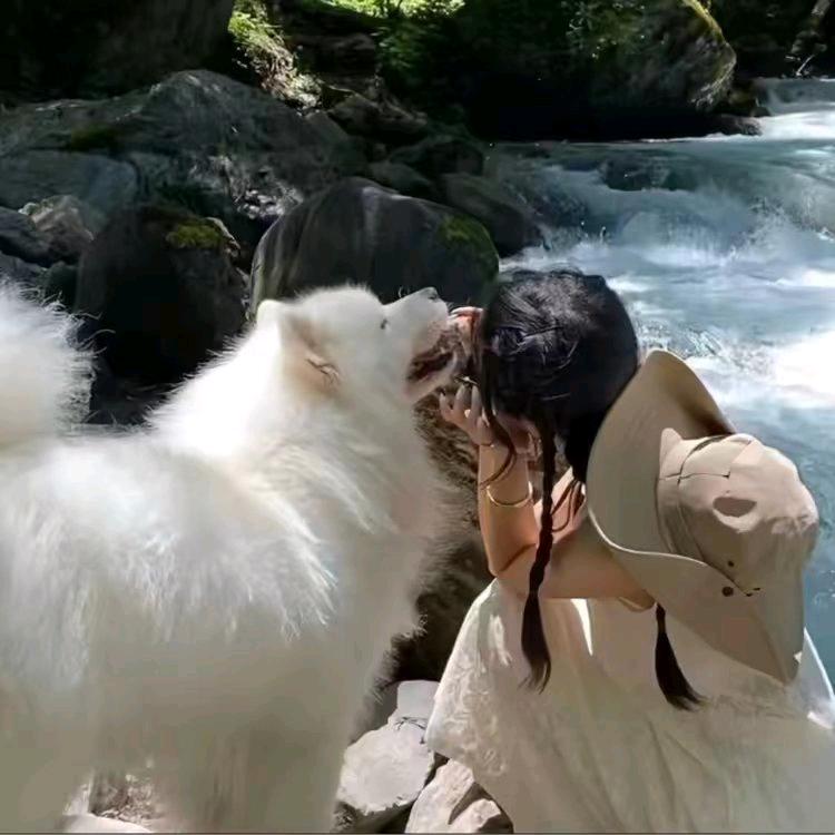 酒酿番石榴@抖音