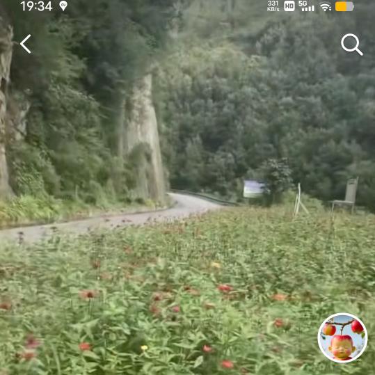 明天更好