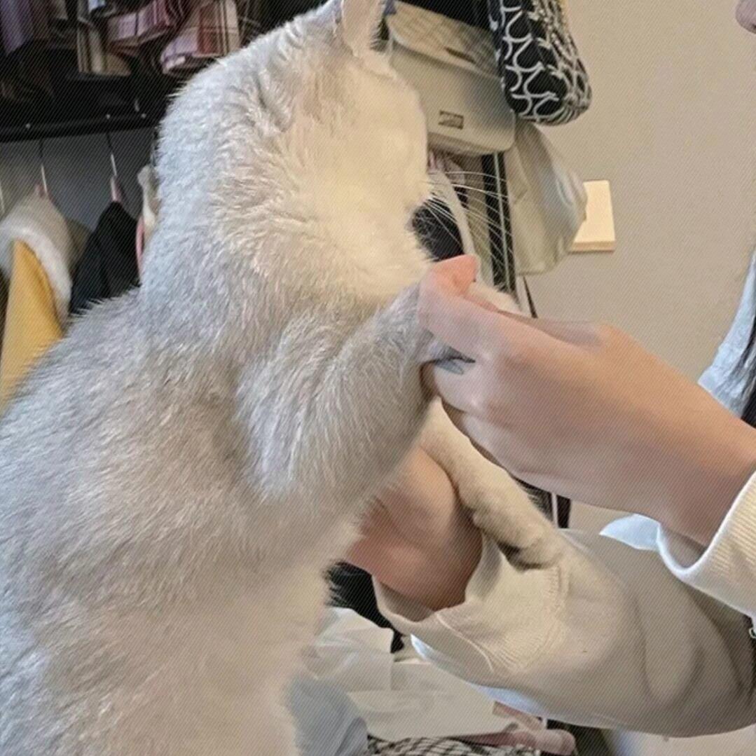 懒漫