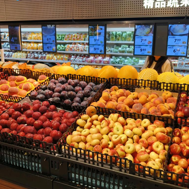豆的豆豆