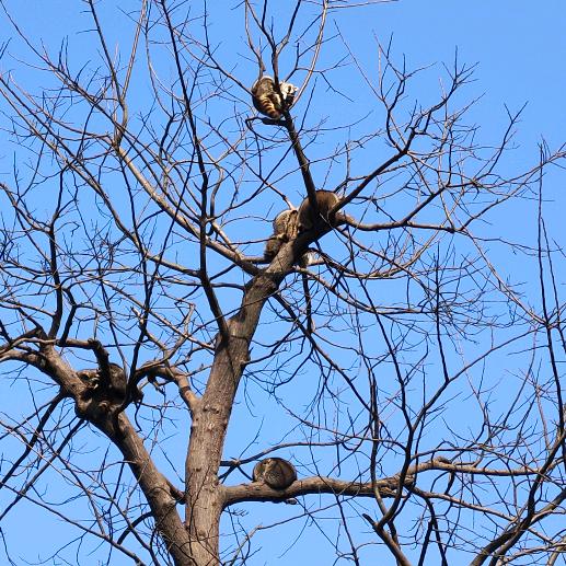 🥀余生ꦽ爱᭨自己ꦾᩚ࿐