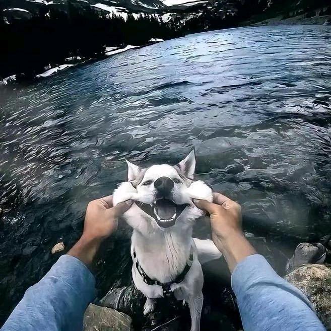 沙海棘庄