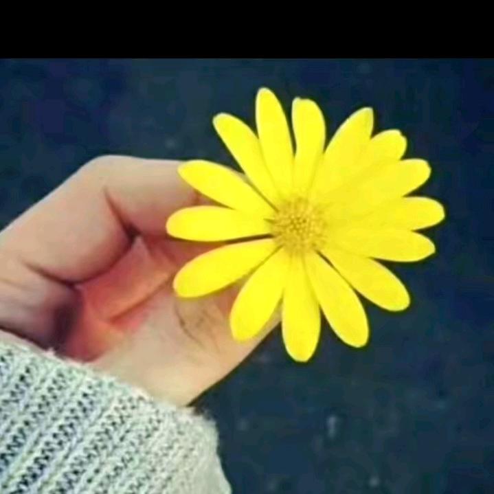 💞🌹🌹🌹💞