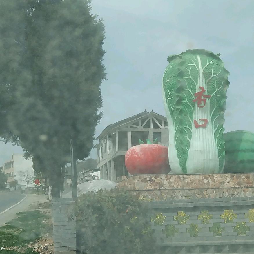 宝哥《水果.蔬菜》