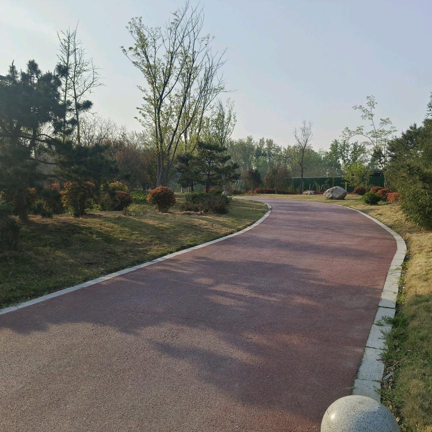 清晨的马路牙子