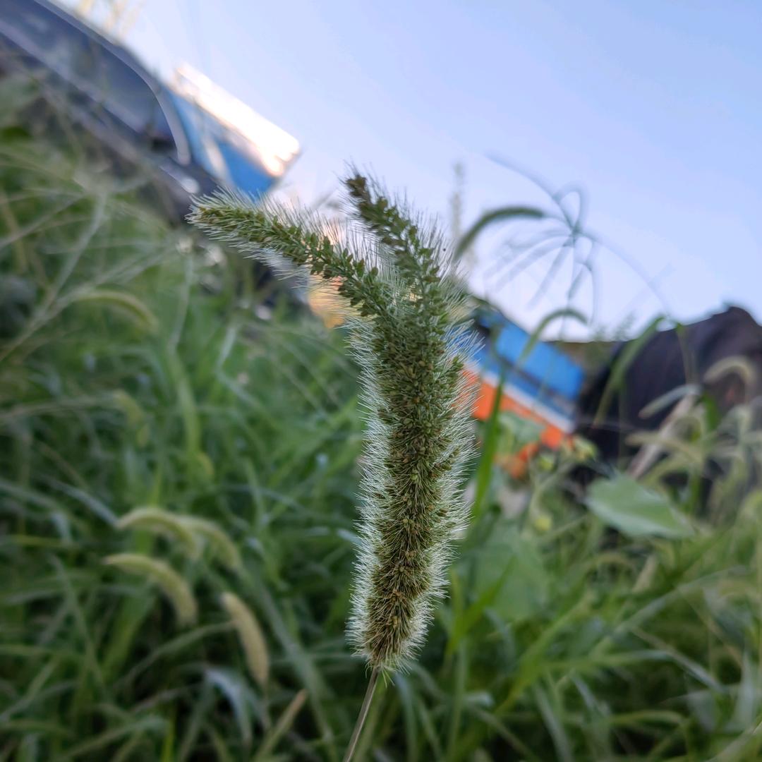 太阳当空赵先生
