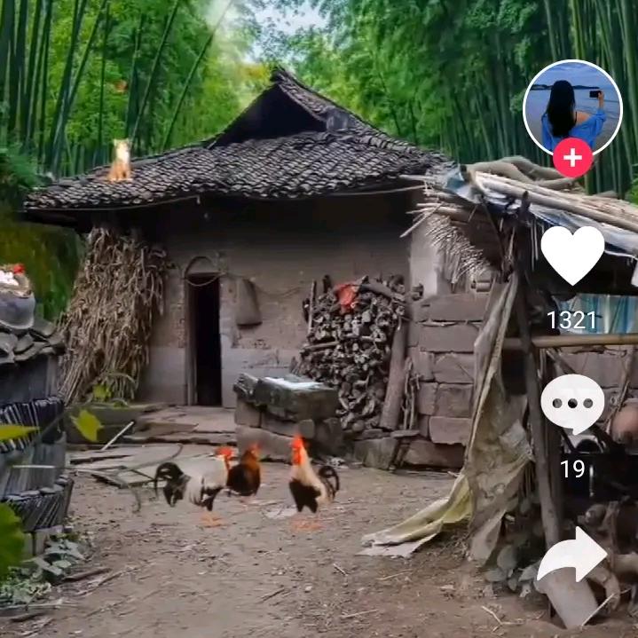 心态人生