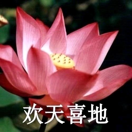 小鱼