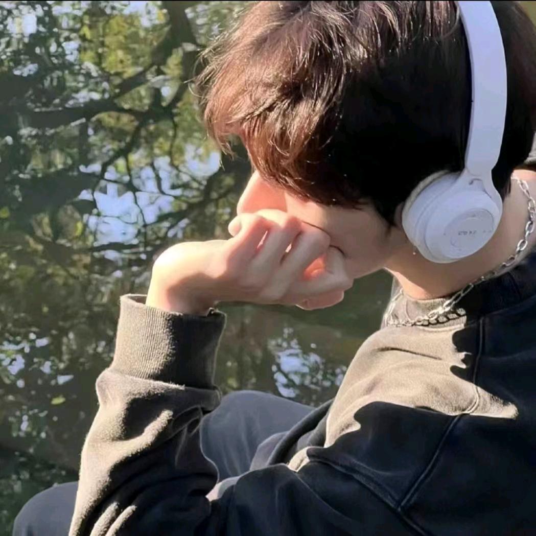 羊羽