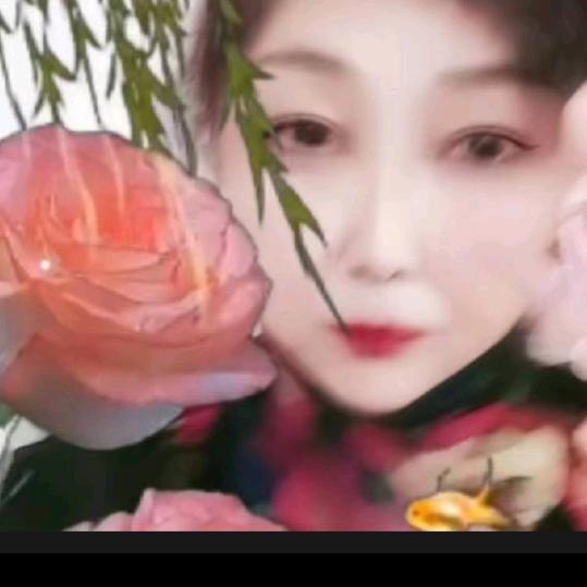 🌹幸福🌹