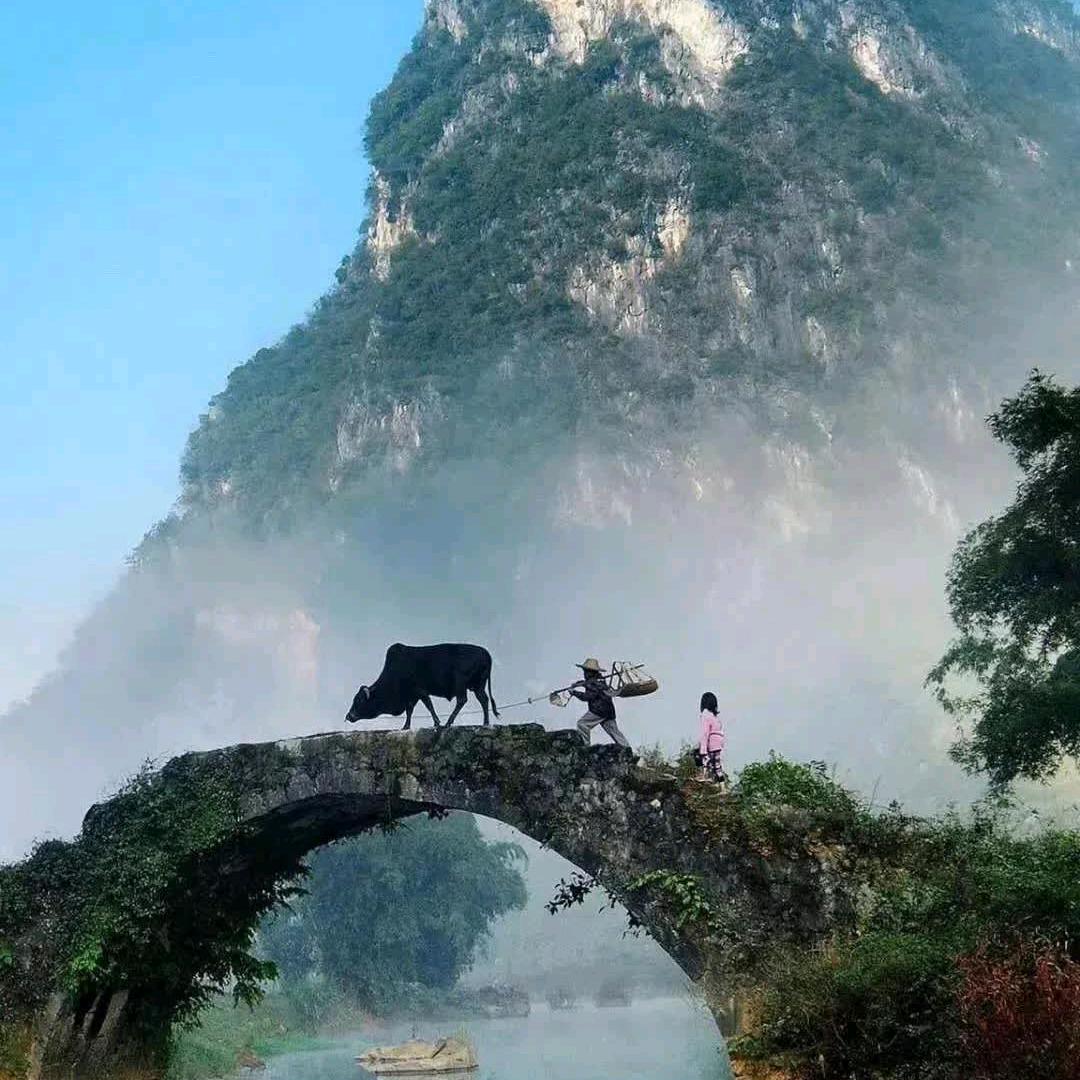 也许爱让此刻变成灰色