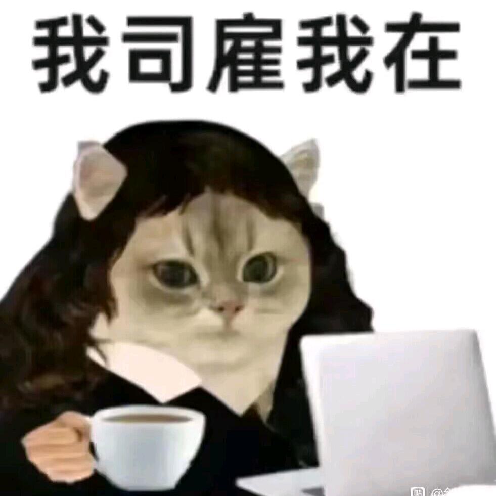 这个我是真喜欢