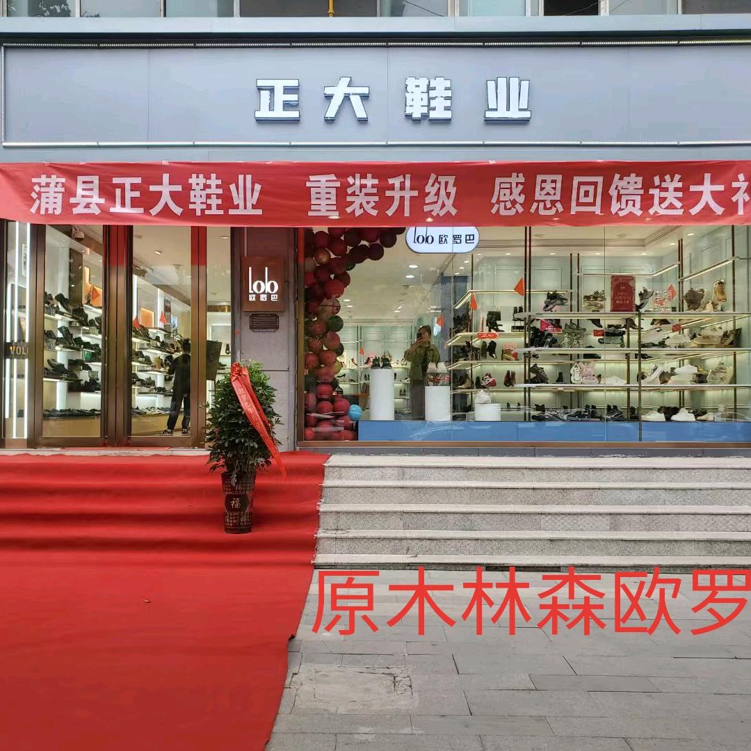 蒲县正大鞋业，犀牛，木林森，欧罗巴