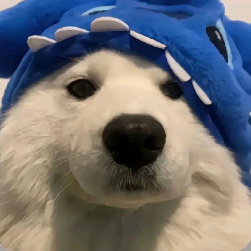 阿泽（三角洲跑刀）